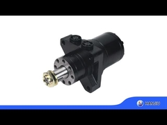 Wysokiej wydajności silnik Gerolor silnik hydrauliczny kołowy Rw400 Bmrw400 z kluczem równym wału