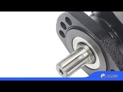 BMER-2-300-FH-SW Silnik hydrauliczny wolnoobrotowy o wysokim momencie obrotowym, 18,08 cali sześciennych pojemności