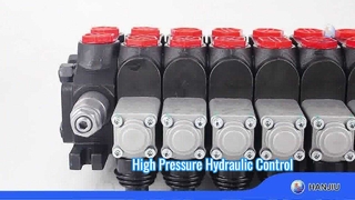 ZAWÓR SEKCYJNY DCV60