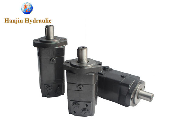 80 cm3 100 cm3 250 cm3 315 cm3 2-śrubowy wał 31,75 G1 / 2 Silnik hydrauliczny Bmsy